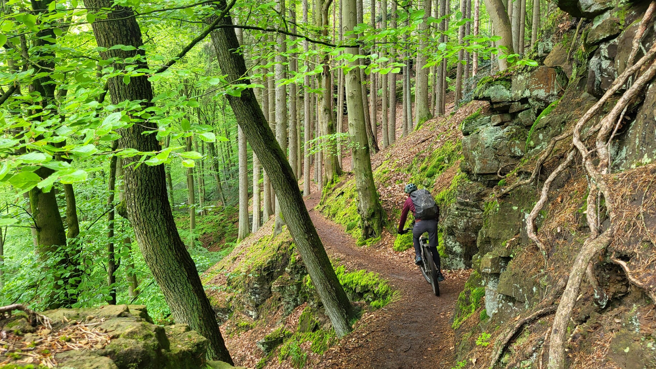 Dag 3 Mountainbiken in Luxemburg