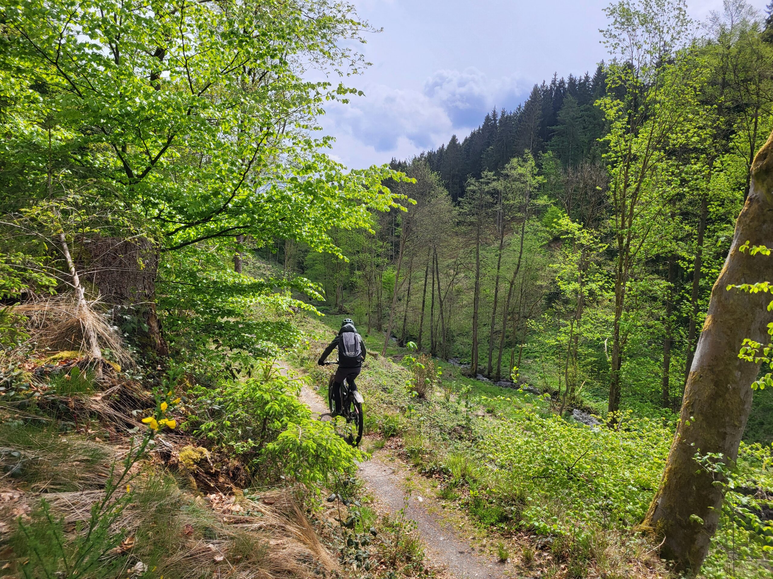 Dag 2 Mountainbiken in Luxemburg