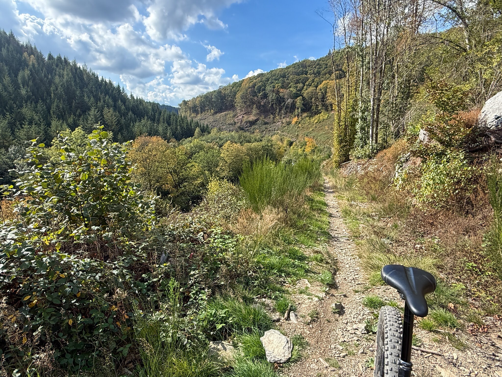 Dag 3 Mountainbiken in de Ardennen – La Roche